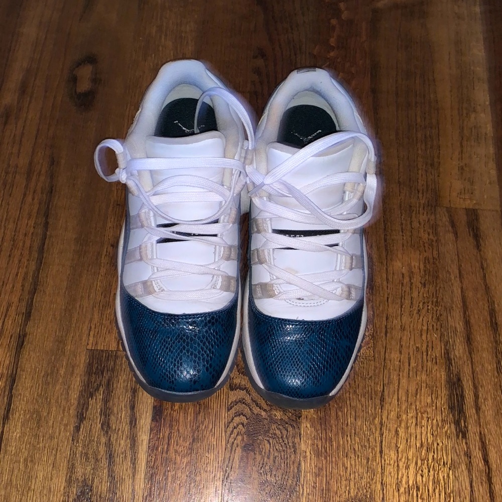 Blue snake skin Jordan’s